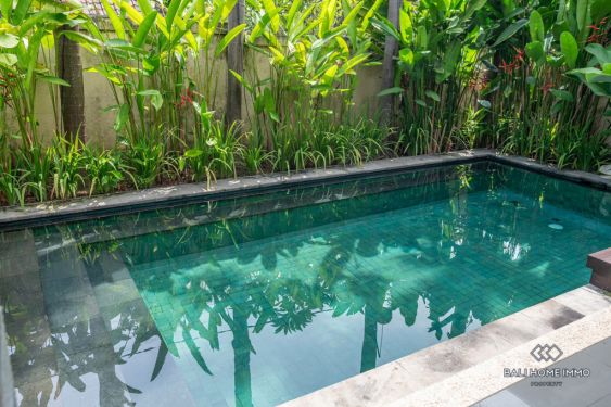 Image 3 from 3 Bedroom Family Villa For Rent Yearly in Berawa Canggu