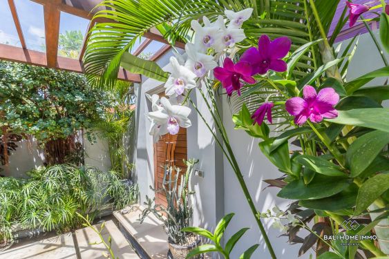 Image 6 from Exquisite 3 Bedroom Villa for Sale Leasehold in Bali Petitenget