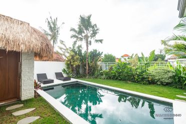 Image 3 from Villa 3 kamar Disewakan Jangka Panjang Di Bali Canggu Batu Bolong