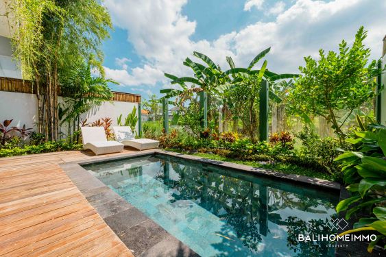 Image 2 from 3 Bedroom Villa For Sale & Rental in Bali Canggu - Padonan