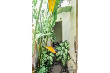 Image 12 from 3 bedroom villa for yearly rental in Berawa