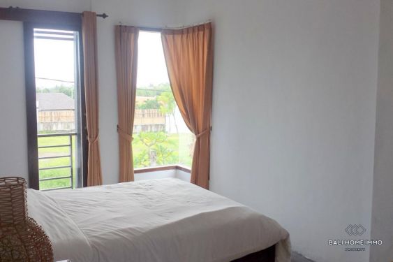 Image 14 from 3 Bedroom Villa For Yearly Rental in Canggu Berawa