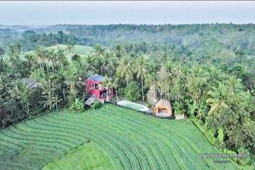 Image 7 from Vila 3 kamar tidur untuk disewakan bulanan dan tahunan di Tabanan