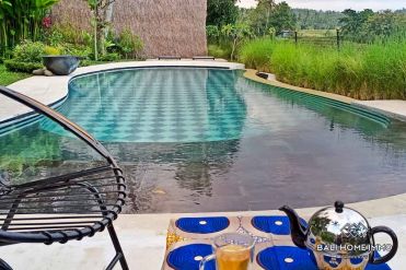 Image 6 from Vila 3 kamar tidur untuk disewakan bulanan dan tahunan di Tabanan