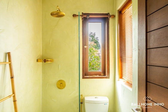 Image 18 from Dijual dan Disewakan Vila 3 Kamar Tidur dengan Pemandangan Sawah di Pererenan