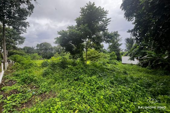 Image 5 from 30 are land for sale freehold in Beraban Tanah Lot