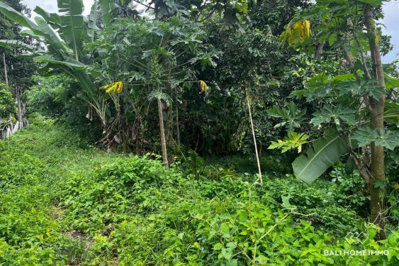 Image 4 from 30 are land for sale freehold in Beraban Tanah Lot