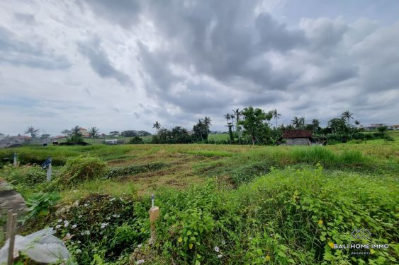 Image 2 from Ricefield view Land for Sale Leasehold near Lima Beach Pererenan