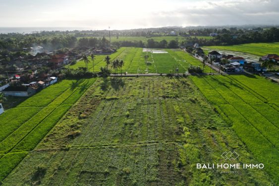 Image 3 from 30 are terrains en front de rue à vendre en fermage à Kedungu Bali