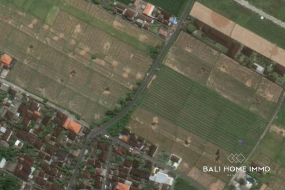 Image 2 from Tanah Pinggir Jalan 30 Are Disewakan Jangka Panjang di Kedungu Bali