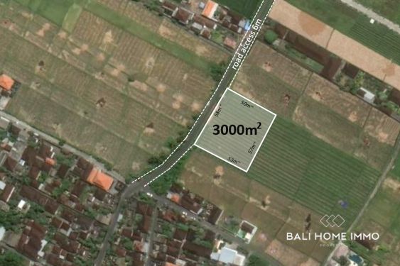 Image 1 from 30 are terrains en front de rue à vendre en fermage à Kedungu Bali