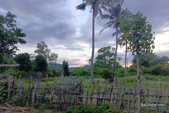 Image 5 from 31 Are Land with Ocean View for Sale Freehold in Lombok