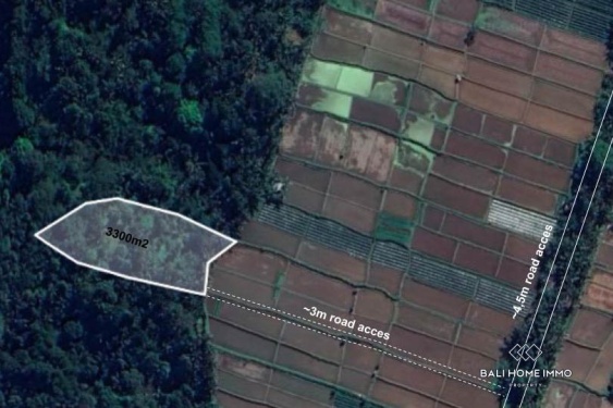 Terrain de 3400 m² avec vue imprenable sur la jungle et la vallée à vendre à Payangan