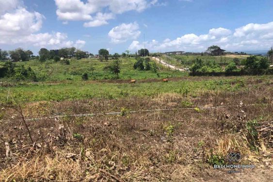 Image 7 from 36 are land for sale freehold walking distance to Nyanyi Beach Bali