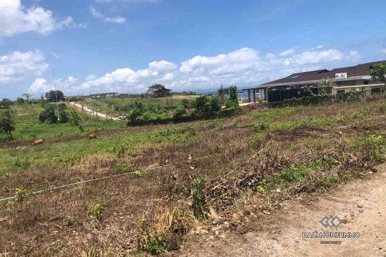 Image 5 from 36 are land for sale freehold walking distance to Nyanyi Beach Bali