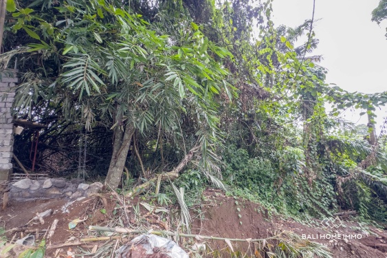 Image 2 from 3800m2 Riverside Land for Sale in Nyanyi