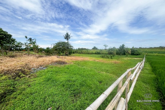 Image 5 from 39,5 are lahan dijual di tepi pantai Nyanyi.