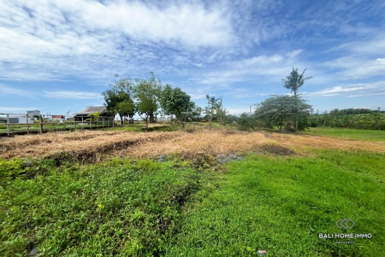 Image 4 from 39,5 are lahan dijual di tepi pantai Nyanyi.