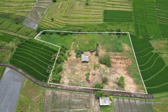 Image 3 from 39,5 are lahan dijual di tepi pantai Nyanyi.