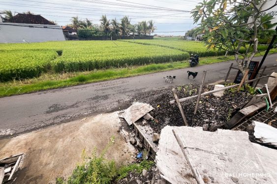 Image 6 from 4.15 are land with ricefield view for sale leasehold in Seseh