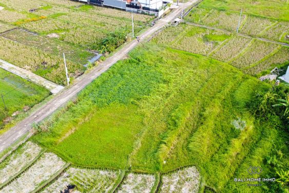 Image 2 from 4.2 are Ricefield View Land For Sale Near Seseh Beach