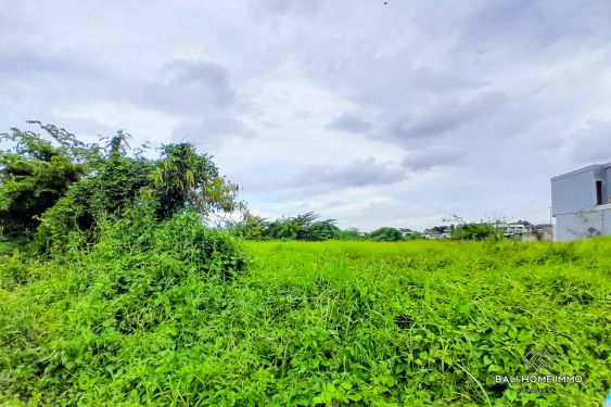 Image 3 from 4.5 are Land For Sale Freehold in Batu Bolong Canggu Bali