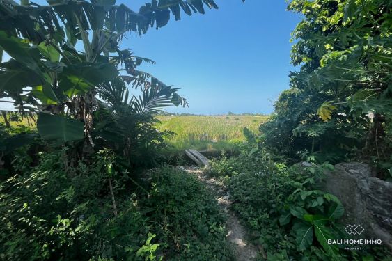 Image 4 from Terrain de 4,65 ares avec vue sur les rizières à vendre à Kedungu Bali