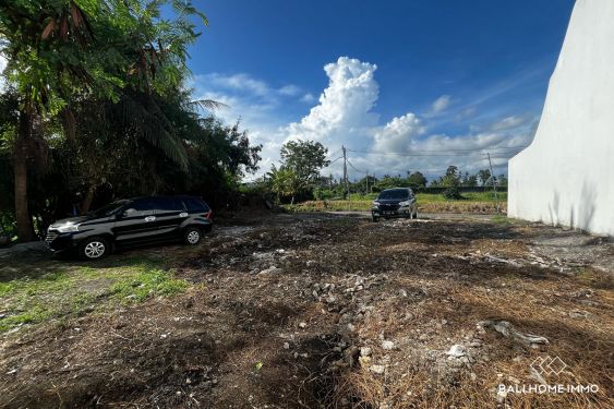 Image 3 from Dijual Tanah 4 Are di Kedungu Jarak Berjalan kaki dari pantai