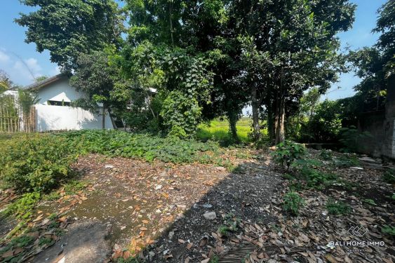 Image 3 from Dijual tanah 4 are dengan pemandangan sawah dekat Tanah Lot