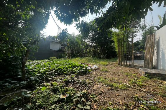 Image 2 from Dijual tanah 4 are dengan pemandangan sawah dekat Tanah Lot