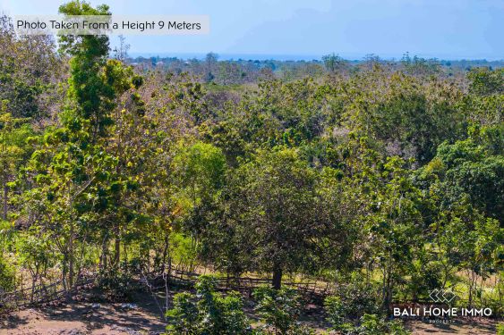 Image 6 from 4 Are Touristic Land for Sale Leasehold with Ocean View in ULUWATU - PECATU