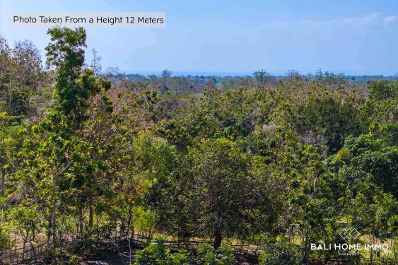 Image 7 from 4 Are Touristic Land for Sale Leasehold with Ocean View in ULUWATU - PECATU