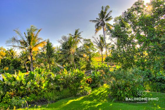 Image 3 from 4 BEDROOM COLONIAL VILLA WITH JUNGLE VIEW FOR SALE FREEHOLD IN KEDUNGU BALI