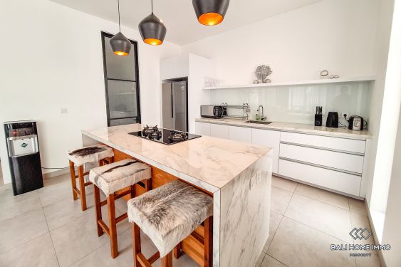 Image 8 from 4 Bedroom Family Villa for Rent in Umalas