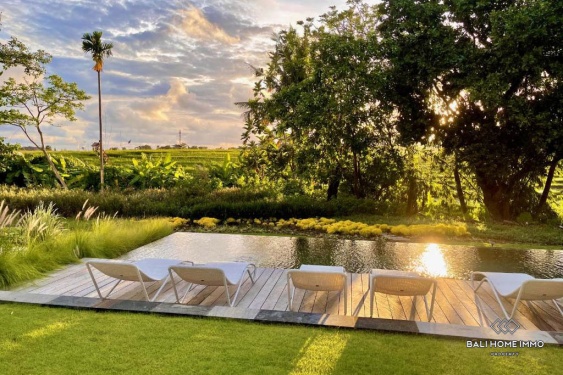 Image 3 from Villa de luxe de 4 chambres avec vue sur les rizières à louer à Tegal Cupek Umalas