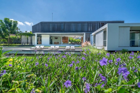 Image 16 from 4 bedroom luxurious villa with ricefield view for rental in Tegal Cupek Umalas