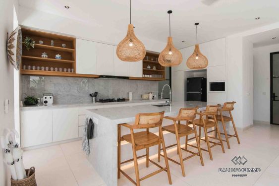 Image 9 from Vila Desain Modern 4 Kamar Disewakan di Umalas