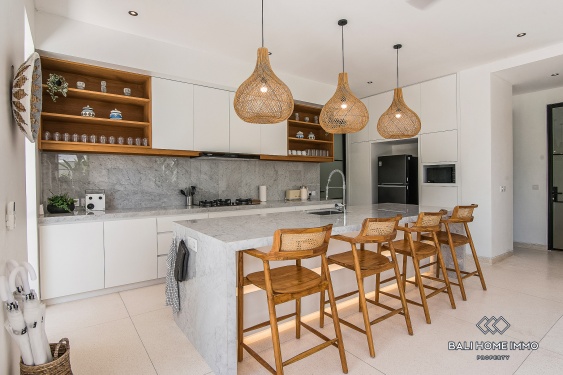 Image 8 from Vila Desain Modern 4 Kamar Disewakan di Umalas