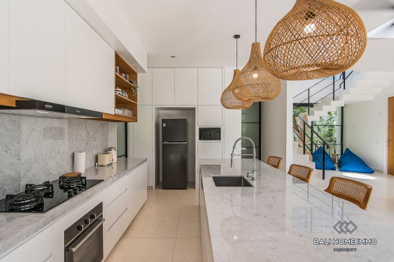 Image 10 from Vila Desain Modern 4 Kamar Disewakan di Umalas