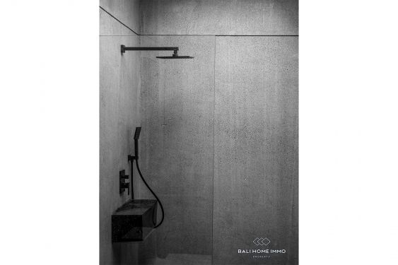 Image 14 from 4 Bedroom Modern Villa with Absolute Ricefield View For Sale in Kaba Kaba