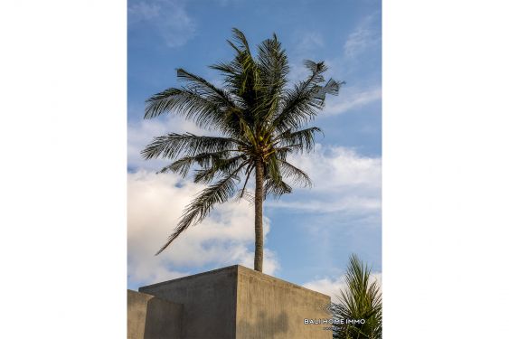 Image 16 from 4 Bedroom Modern Villa with Absolute Ricefield View For Sale in Kaba Kaba