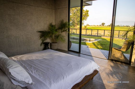 Image 10 from 4 Bedroom Modern Villa with Absolute Ricefield View For Sale in Kaba Kaba
