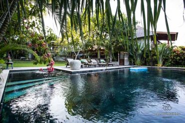 Image 3 from 5 Bedroom Villa for Sale Batu Bolong - Canggu