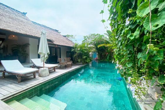 Image 3 from 4 Bedroom Villa for Monthly Rental in Bali Pererenan North Side