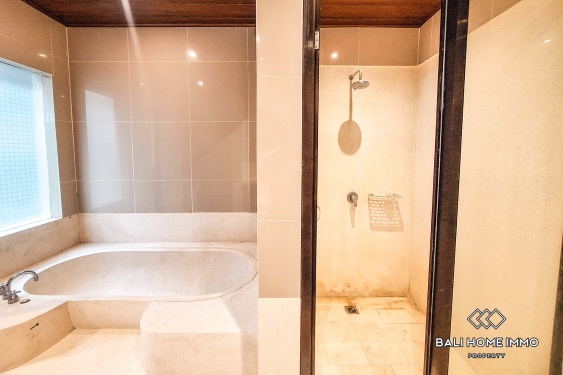 Image 9 from 4 Bedroom Villa For Rent in Umalas