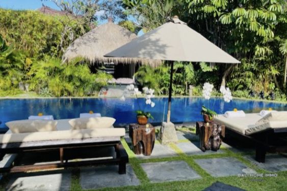 Image 6 from 4 Bedroom Villa for Sale and Rent in Umalas Bali