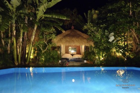 Image 5 from 4 Bedroom Villa for Sale and Rent in Umalas Bali