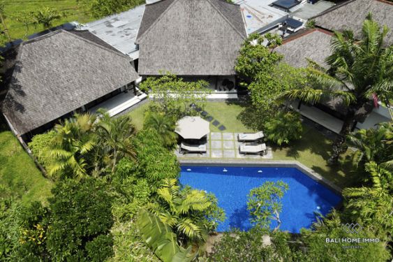 Image 4 from 4 Bedroom Villa for Sale and Rent in Umalas Bali