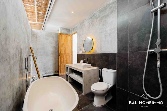 Image 15 from Vila 4 Kamar Tidur Disewakan Jangka Panjang di Bali Canggu