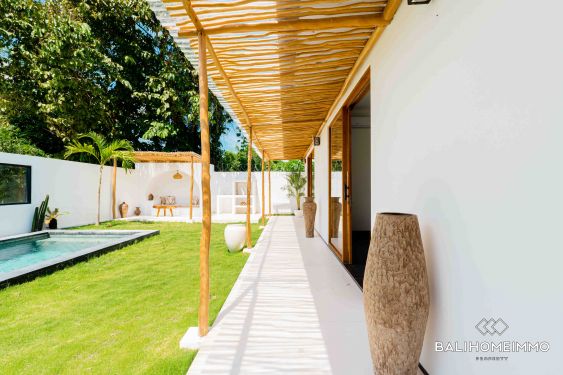 Image 9 from Vila 4 Kamar Tidur Disewakan Jangka Panjang di Bali Canggu